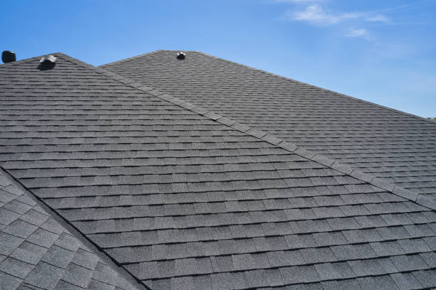 Best Roof Ventilation Installation  in Dauphin Island, AL