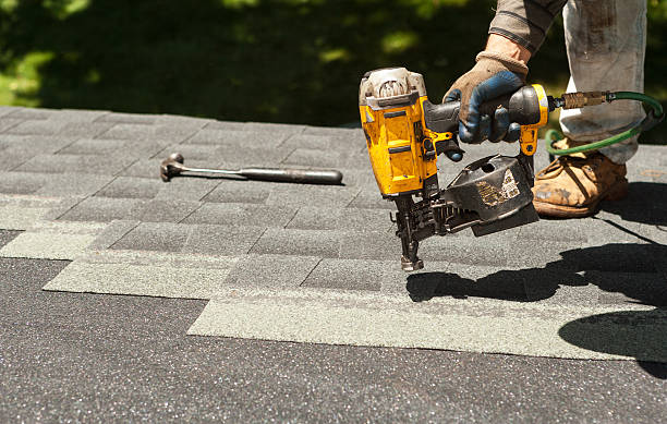 Best Storm Damage Roof Repair  in Dauphin Island, AL